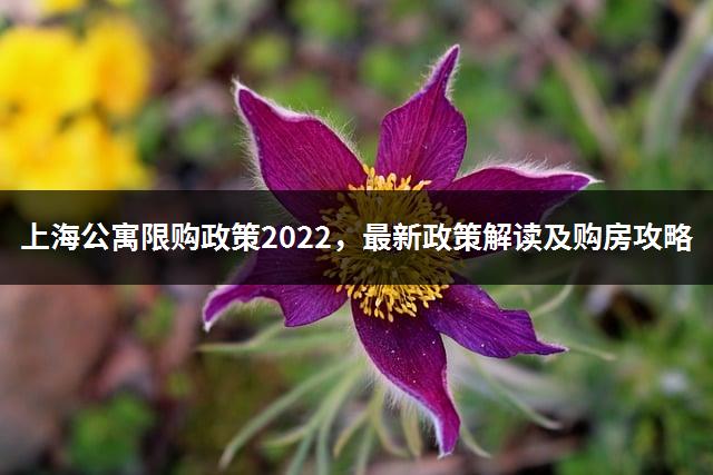 上海公寓限购政策2022，最新政策解读及购房攻略