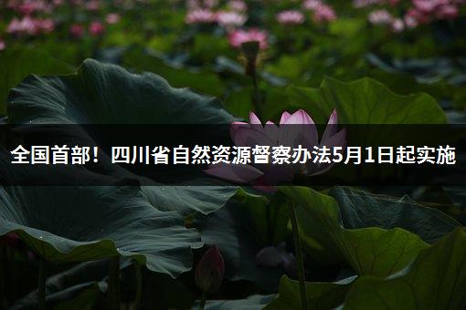 全国首部！四川省自然资源督察办法5月1日起实施