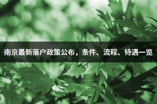 南京最新落户政策公布，条件、流程、待遇一览
