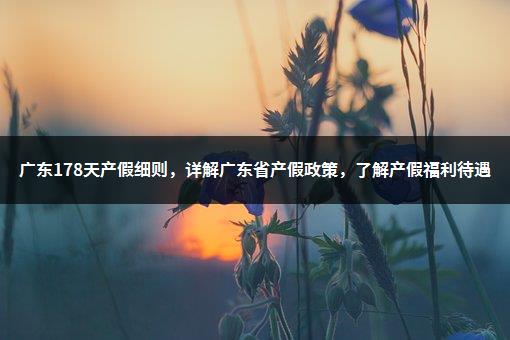 广东178天产假细则，详解广东省产假政策，了解产假福利待遇