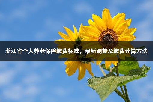 浙江省个人养老保险缴费标准，最新调整及缴费计算方法