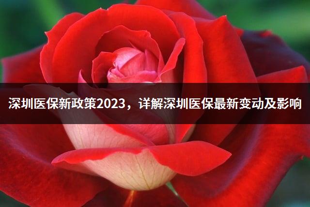 深圳医保新政策2023，详解深圳医保最新变动及影响