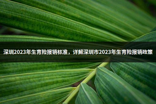 深圳2023年生育险报销标准，详解深圳市2023年生育险报销政策