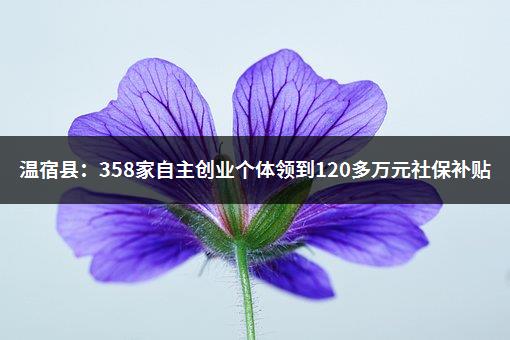 温宿县：358家自主创业个体领到120多万元社保补贴