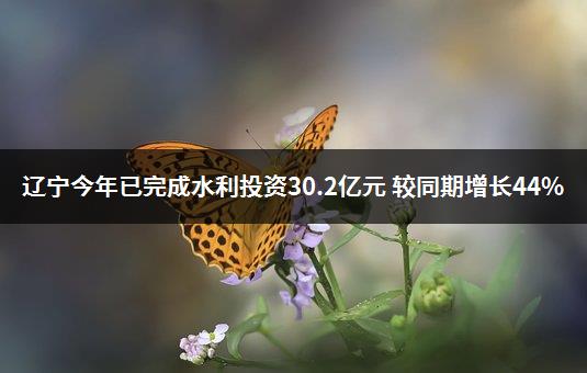 辽宁今年已完成水利投资30.2亿元 较同期增长44%